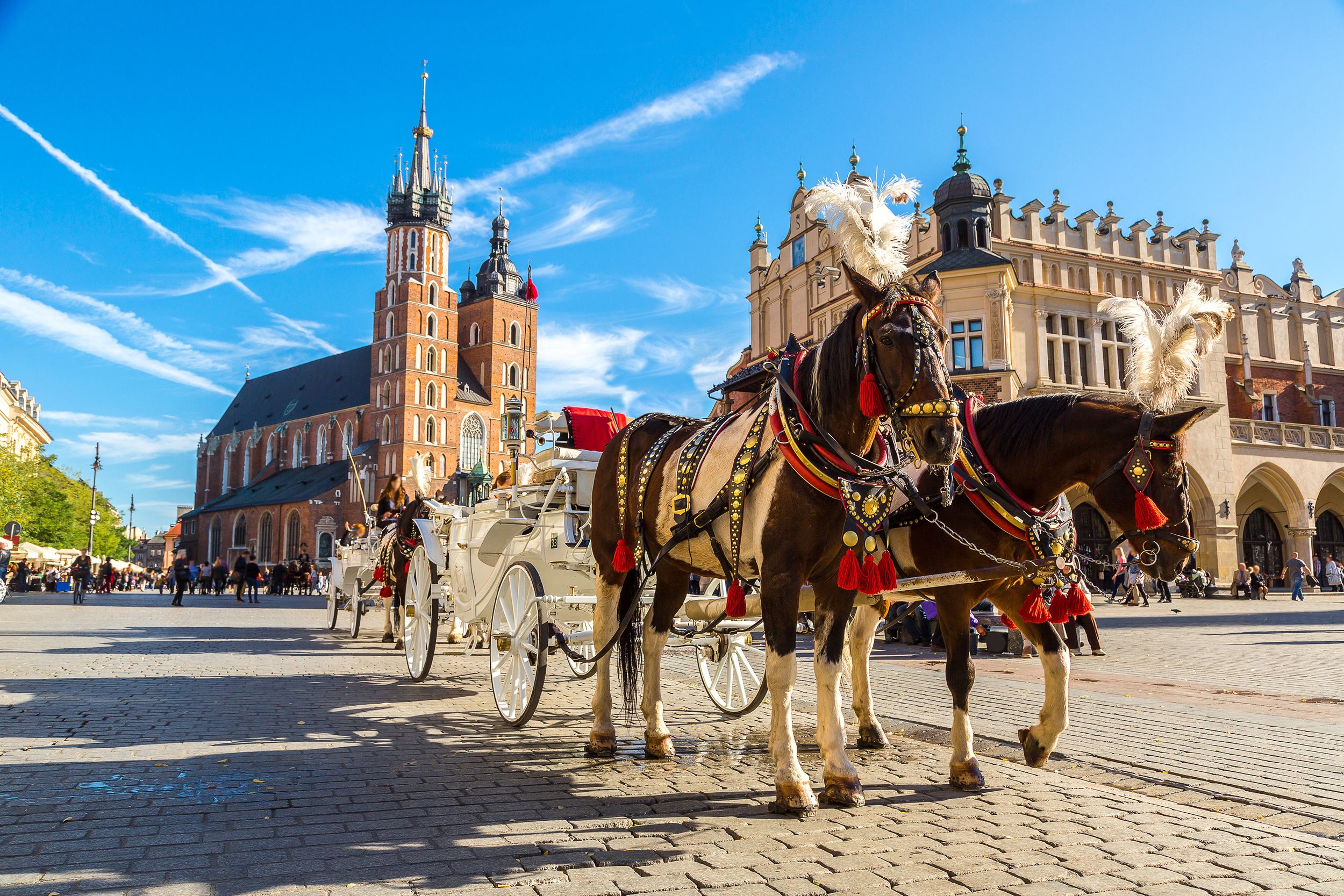 Horse carriages at main square in Krakow in a summer day, Poland