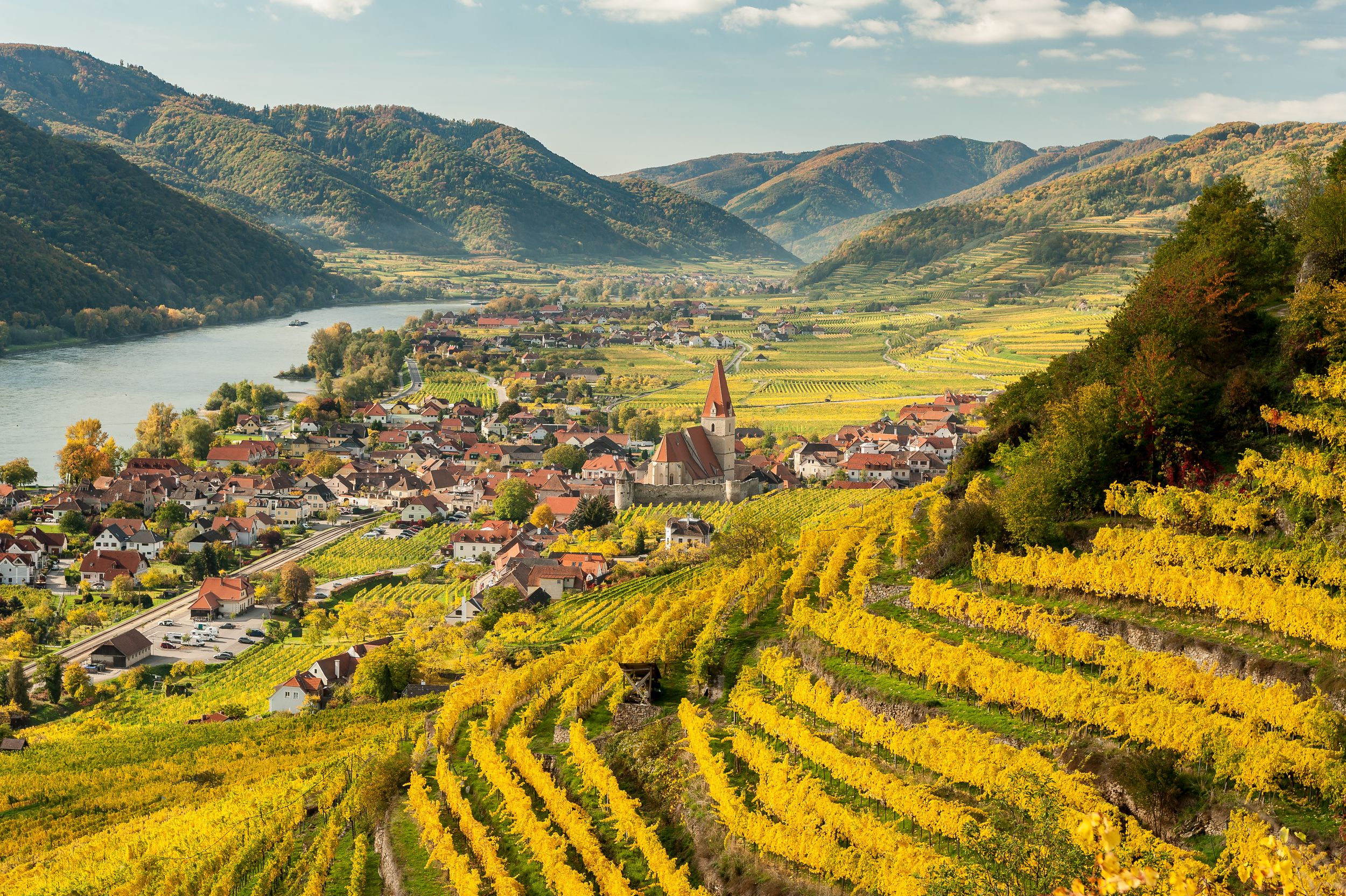 Weissenkirchen Wachau Austria in autumn colored leaves and vineyards o