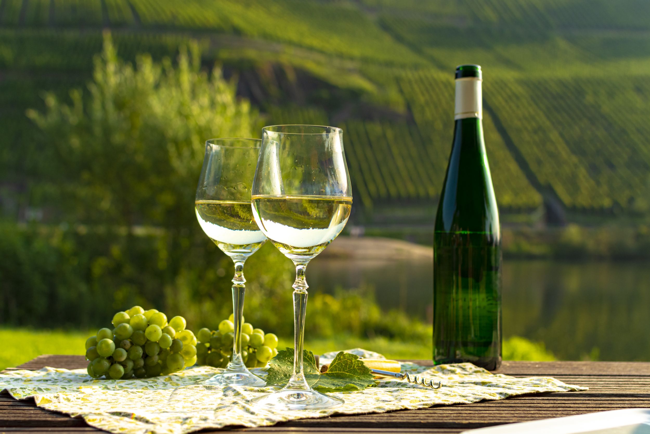 Famous German quality white wine riesling, produced in Mosel wine regi