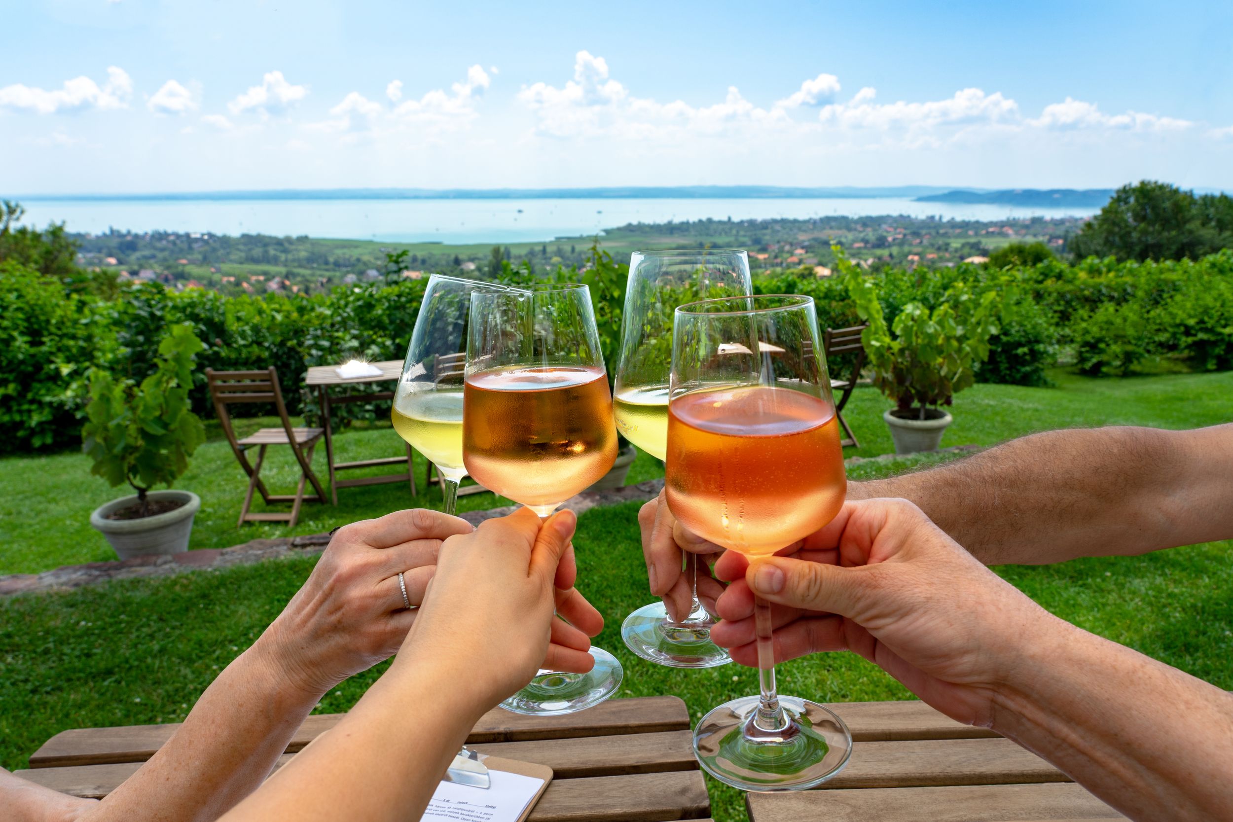 toast with wine in a vineyard bar with a nice view of Lake Balaton on 