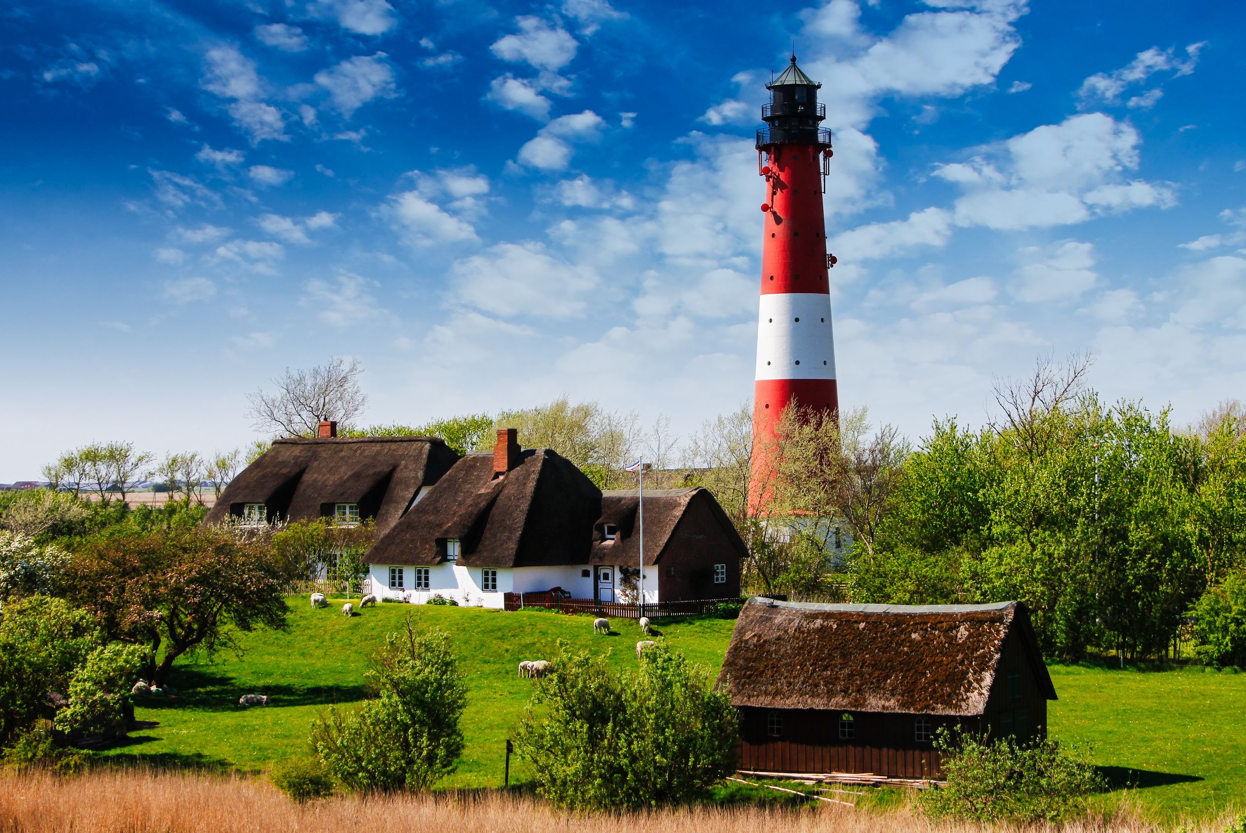 Friesische Idylle mit Leuchtturm, Schafen und Reetdächern