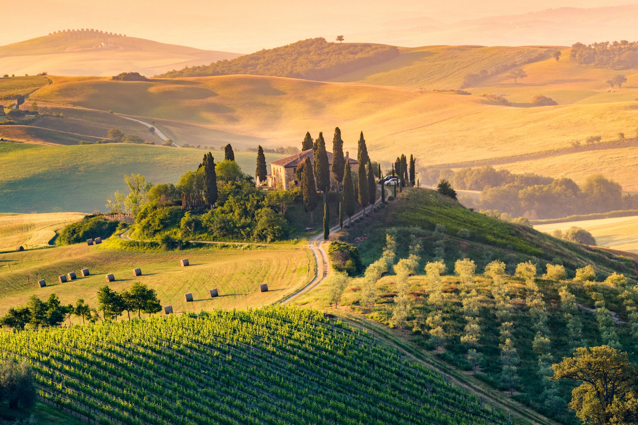 Val d'Orcia, Tuscany, Italy. A lonely farmhouse with cypress and olive