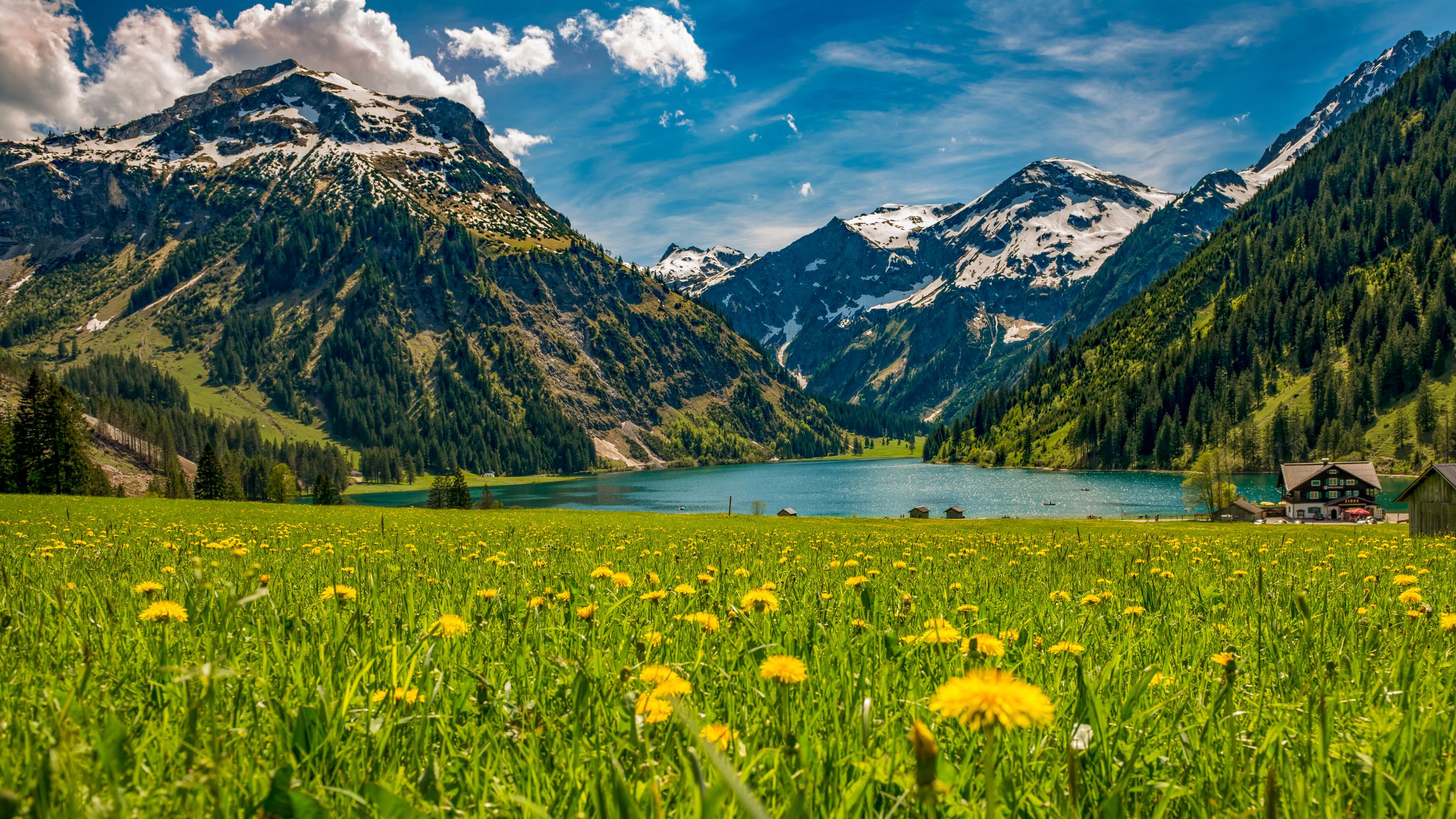 Vilsalpsee im Frühling mit Blumenwiese und Berge im Hintergrund Tannhe