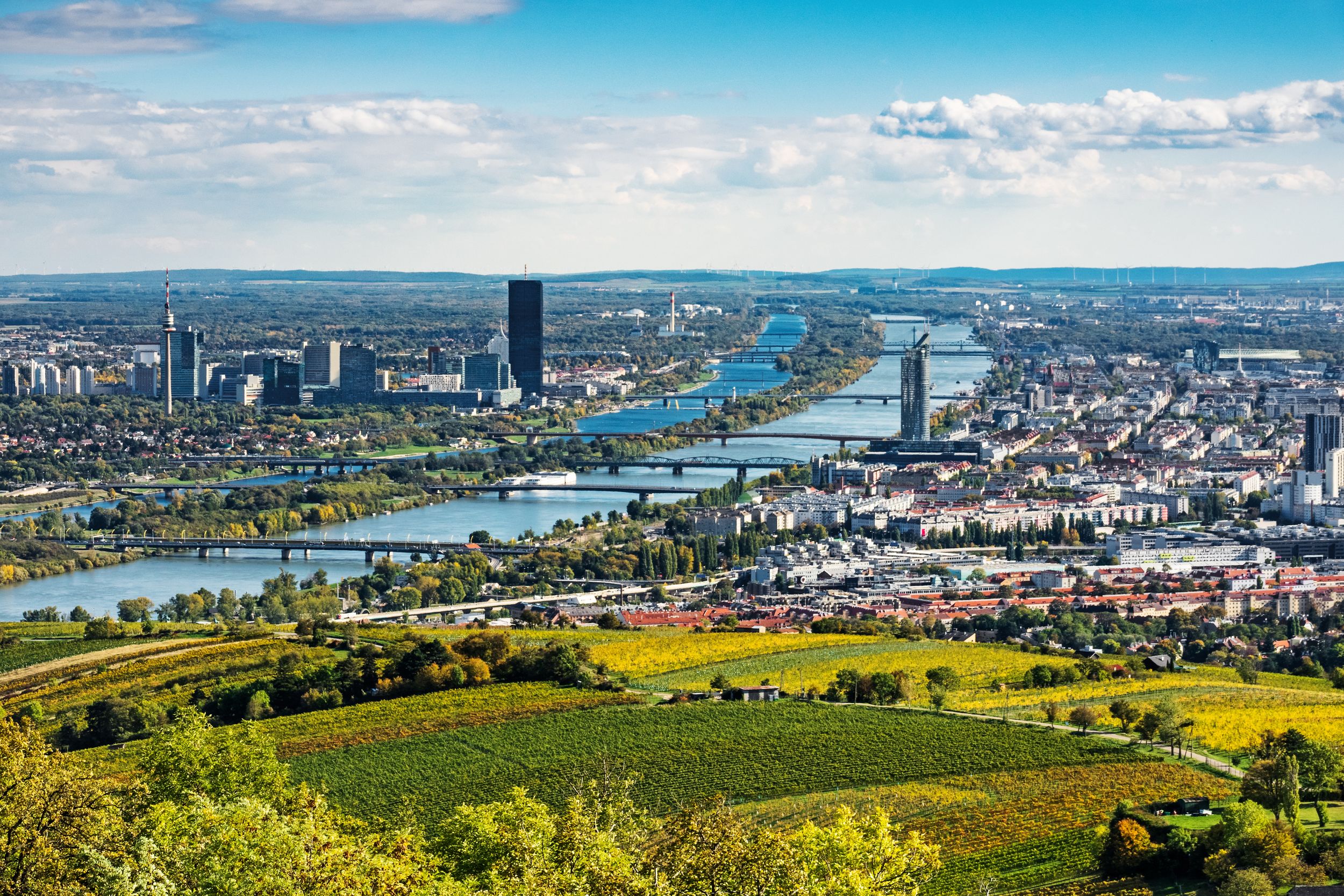 Wien Panorama im Herbst, Stadtansicht mit Donau vom Kahlenberg fotogra