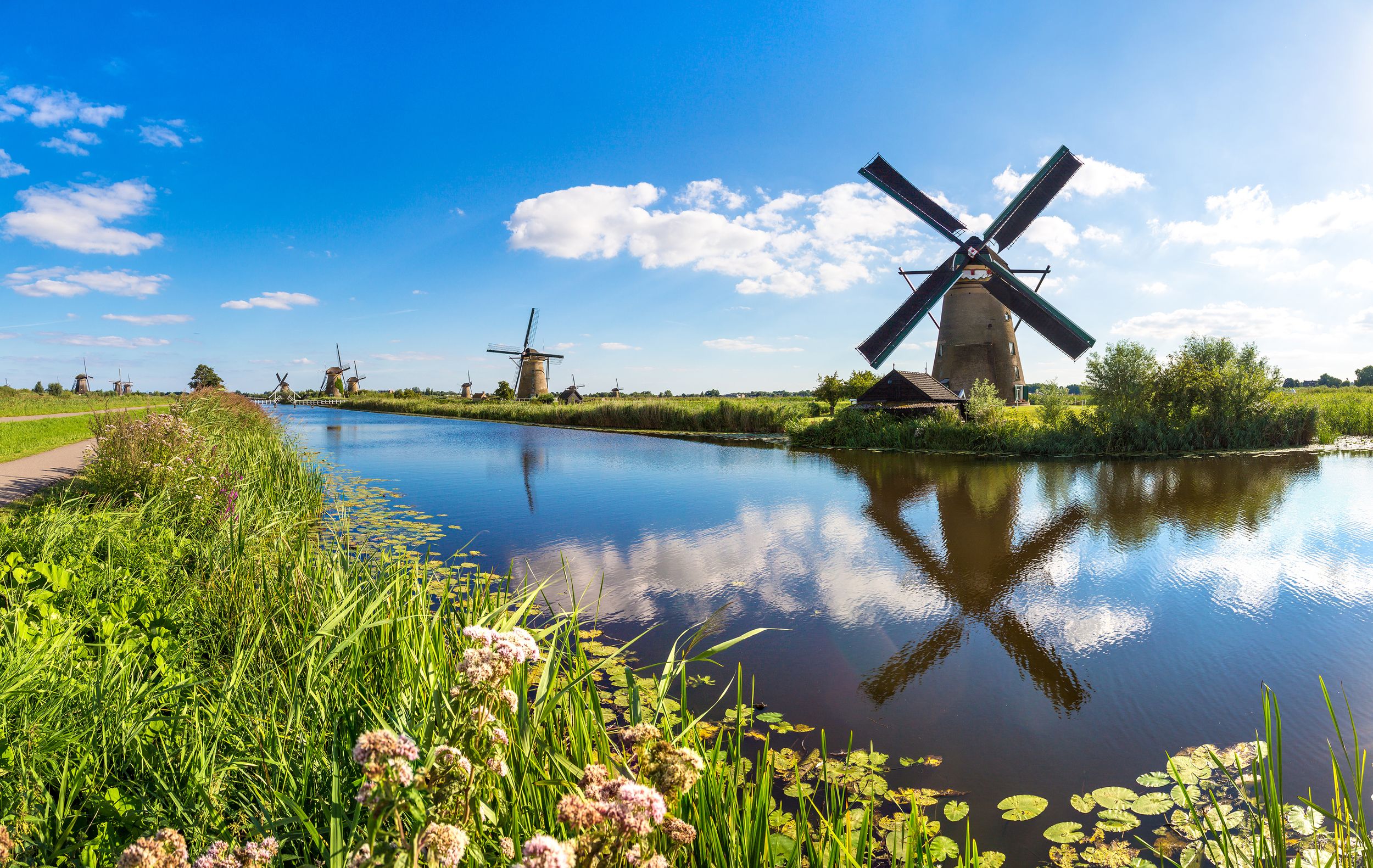 Windmills and water canal in Kinderdijk in a
beautiful summer day, H