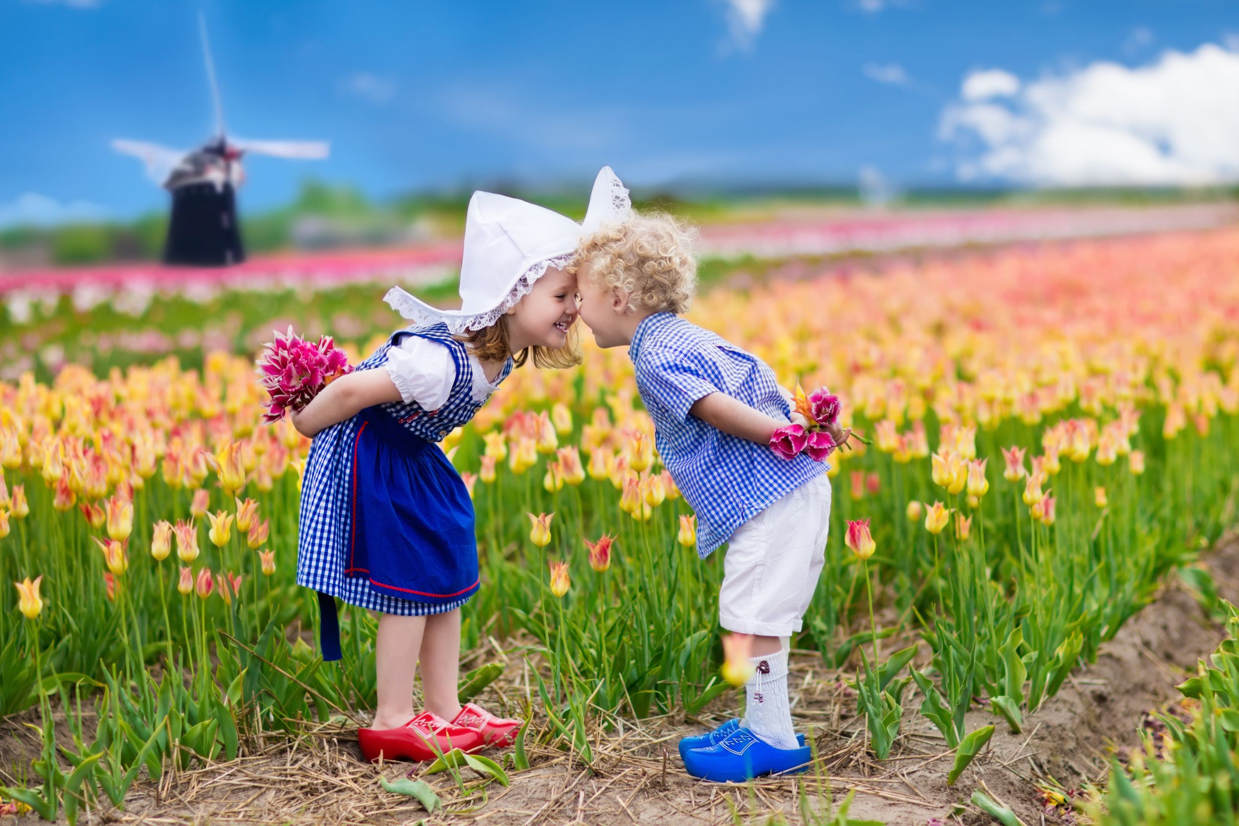 Happy Dutch children playing in blooming tulip flowers field.  Boy and