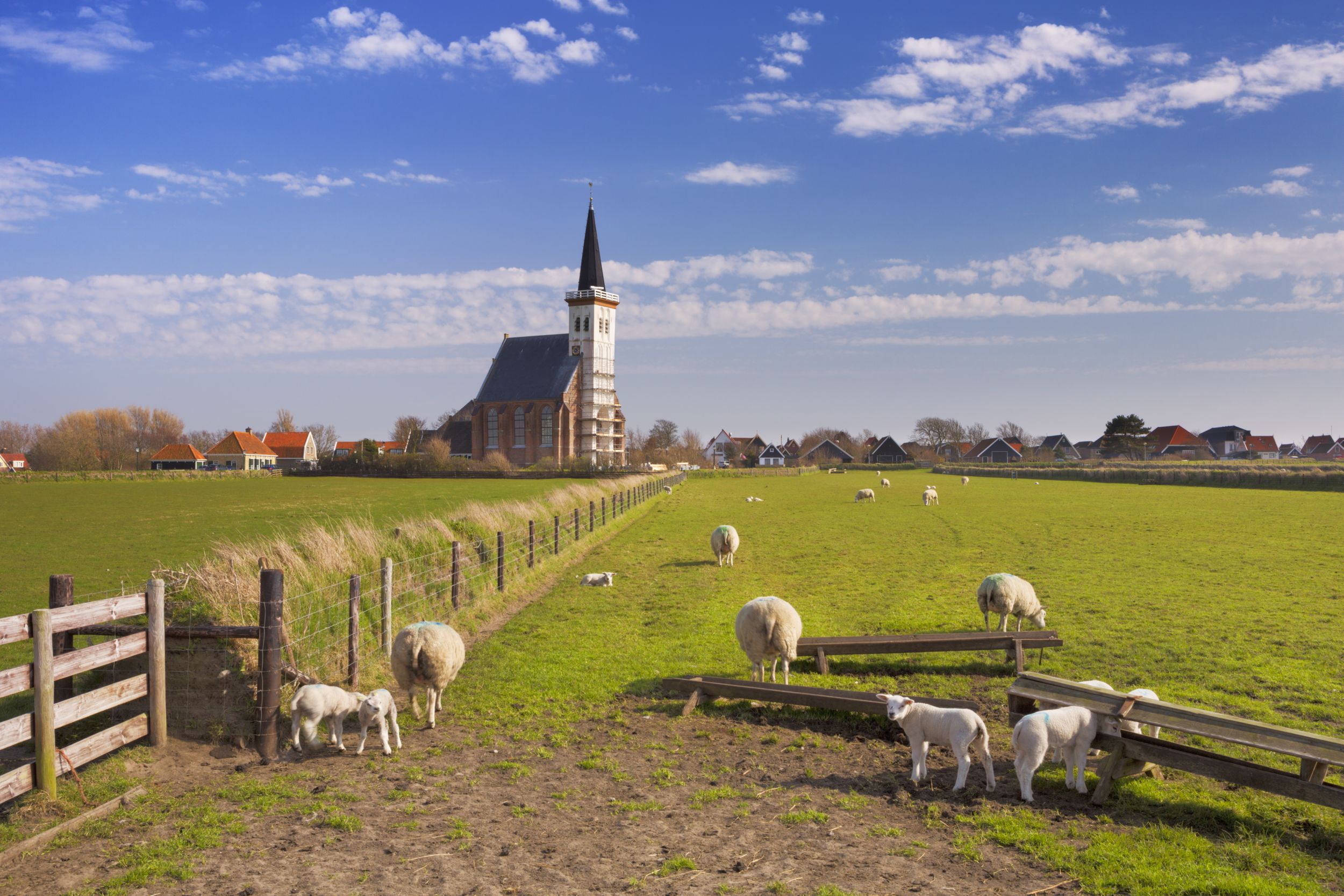 The church of Den Hoorn on the island of Texel in The Netherlands on a