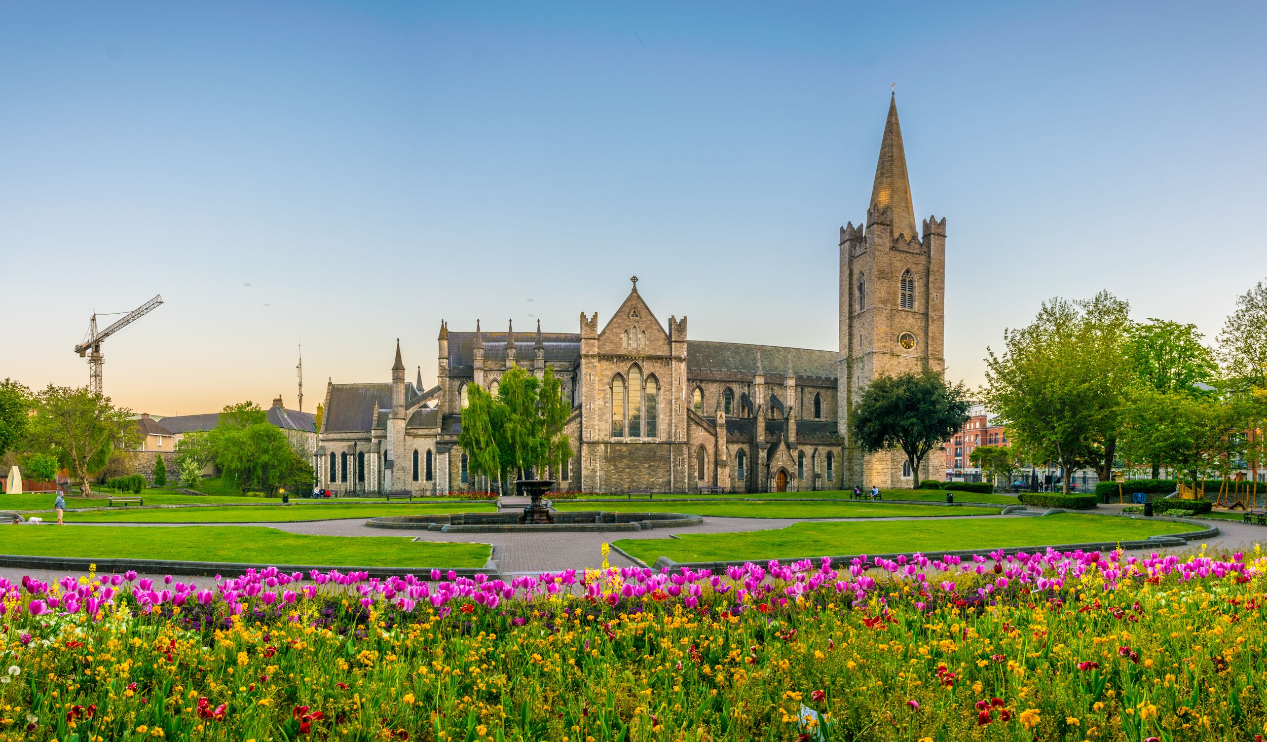 Night view of the St. Patrick's Cathedral in Dublin, Ireland