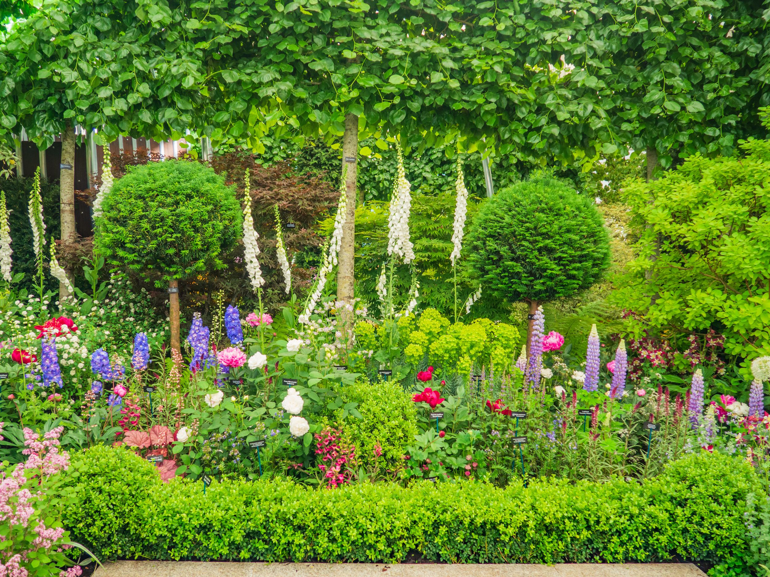 LONDON, UK - MAY 25, 2017: RHS Chelsea Flower Show.