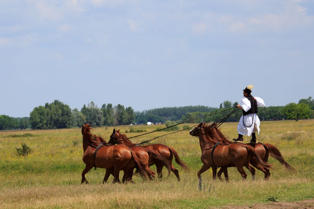 Reiter in der Puszta