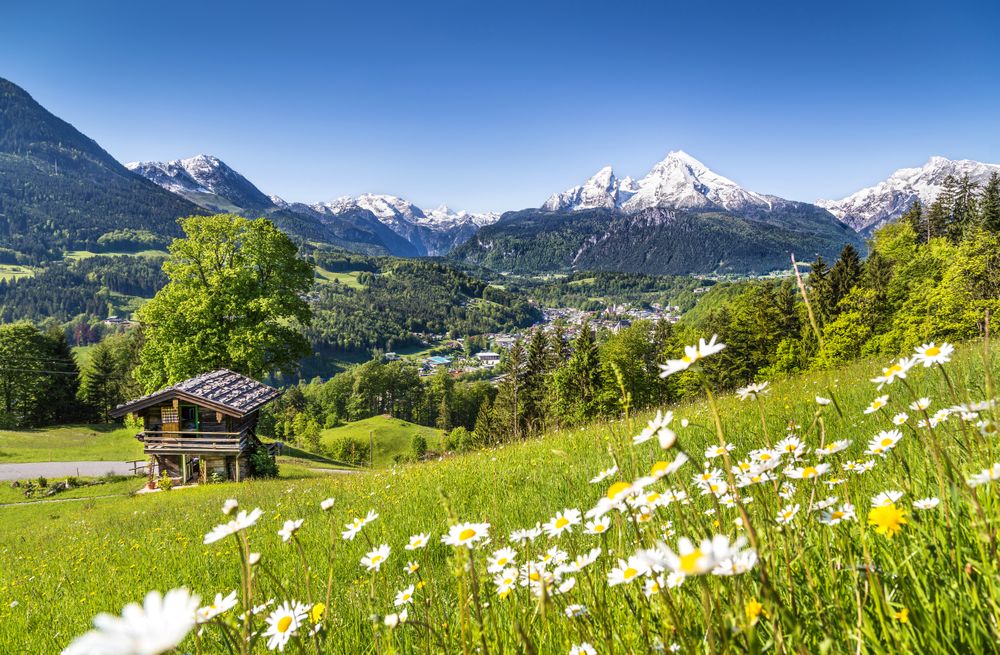 Schöne Alpenkulisse