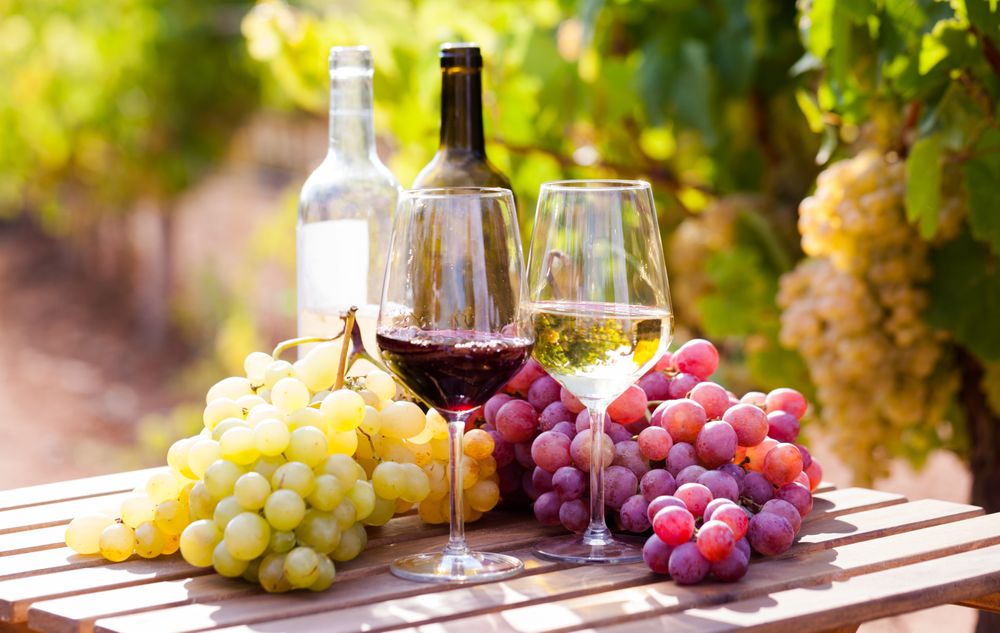 Wein