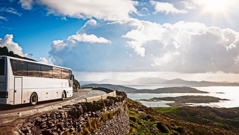 Bus