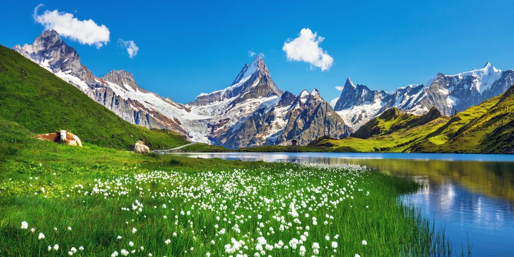 See Alpen Panorama Sommer