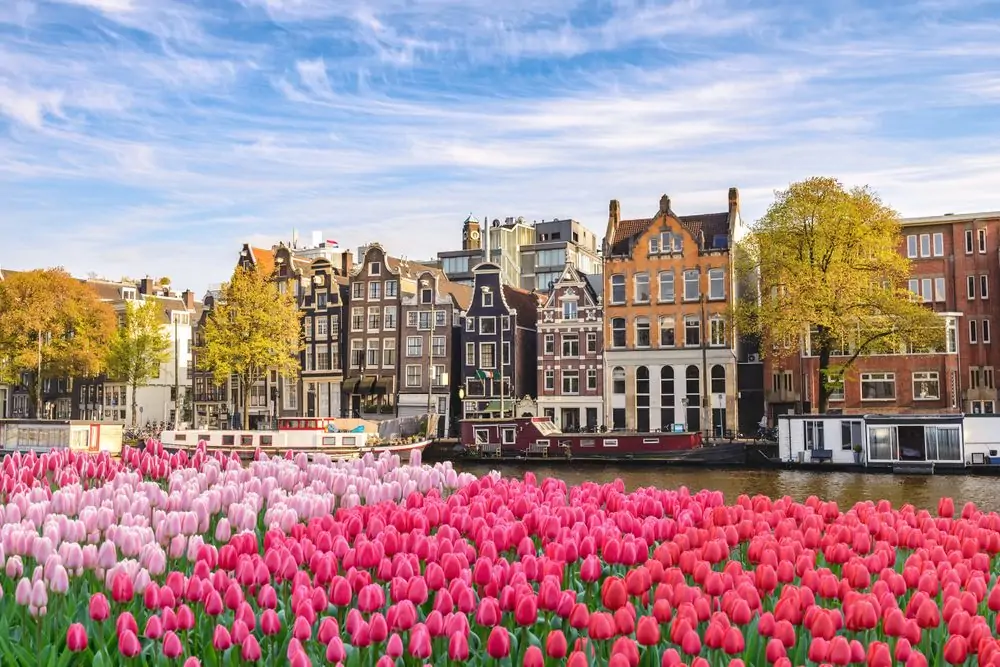 Amsterdam Netherlands, city skyline Dutch house at canal waterfront wi